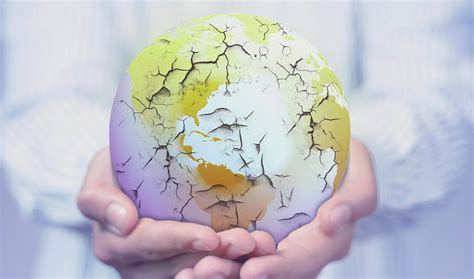 Environmental Destruction | World Centric Blog