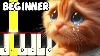 MIAW MIAW MIAW TIKTOK SAD SONG - EASY Piano Tutorial - Videos For Kids