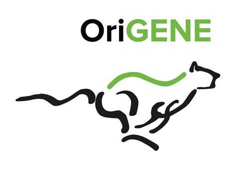 Therapie bei Rückenschmerzen in Seengen (Schweiz) | OriGENE.de