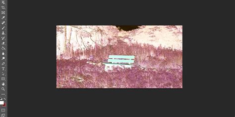 Comment développer un film négatif dans Photoshop