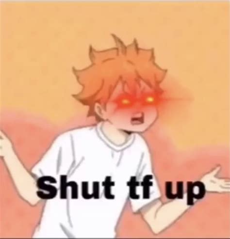 Shut tf up | Anime memes funny, Anime memes, Anime funny