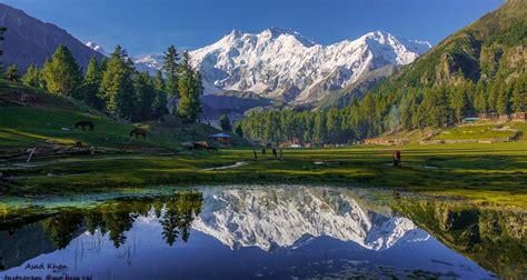 Fairy Meadows Nanga Parbat Base Camp Guide [2023 UPDATE], 49% OFF