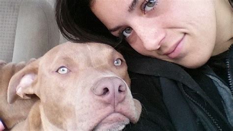 Petition · Repeal the pit bull ban in Prince Georges County - United ...