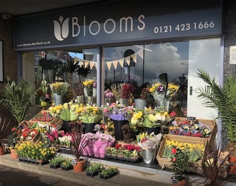 Flower Shop In Rose Bay at Celia Bosworth blog
