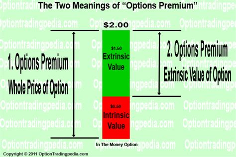 Options Premium by OptionTradingpedia.com