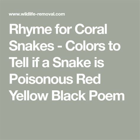 Rhyme for Coral Snakes - Colors to Tell if a Snake is Poisonous Red ...