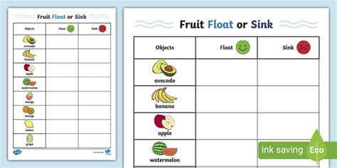 Fruit Float or Sink Investigation Activity - Twinkl