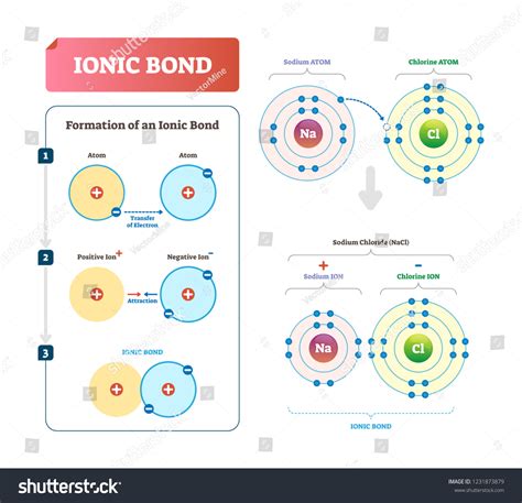 Ionics Images, Stock Photos & Vectors | Shutterstock