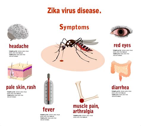 ZIKA VIRUS UPDATE | Doom and Bloom (TM)