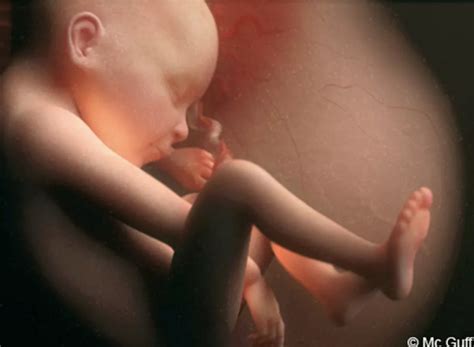 Semaine 29 de grossesse - 29 semaines de grossesse - 31 SA | Parents.fr