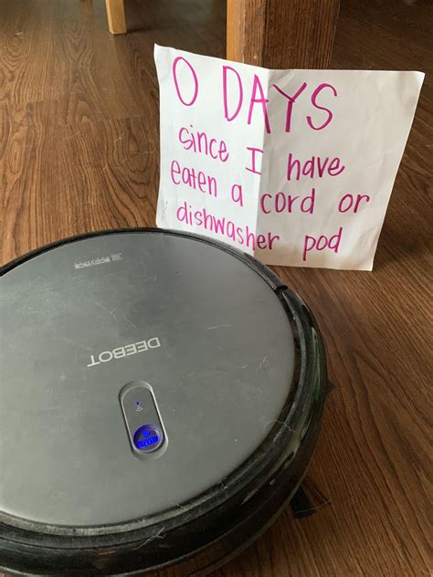 Anyone else have this issue? lol : r/RobotVacuums