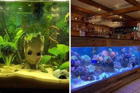 Transform Your Aquarium With Stunning Mario Fish Tank Decor - Aquariumia