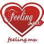 La Estacion del Amor .net | Feeling.mx | Musica, Entretenimiento ...
