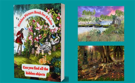 Hidden Picture Book for Adults 3: Seek and Find the Hidden Objects in ...
