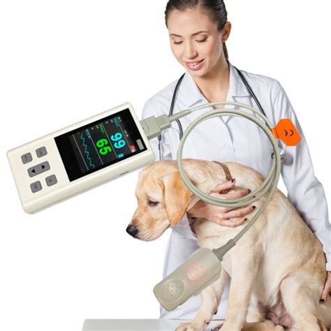 Compact and Portable Vet Pulse Oximeter - China Vet Pulse Oximeter and ...
