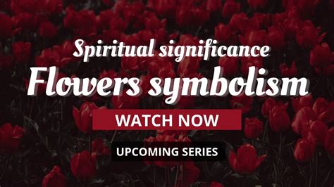 Significance & Symbolism of 'FLOWERS' in Spirituality| Language of ...