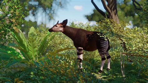 Okapi Remaster (1.14) at Planet Zoo Nexus - Mods and community