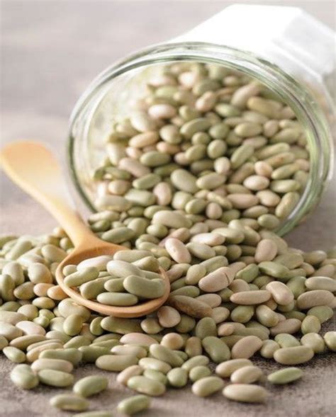 Flageolets à la crème pour 4 personnes - Recettes Elle à Table