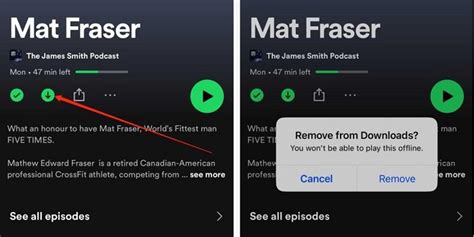 Understanding and Resolving the 