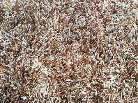 40+ Footcloth Stock Photos, Pictures & Royalty-Free Images - iStock