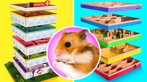 Coolest DIY Mazes For Your Hamster From Cardboard
