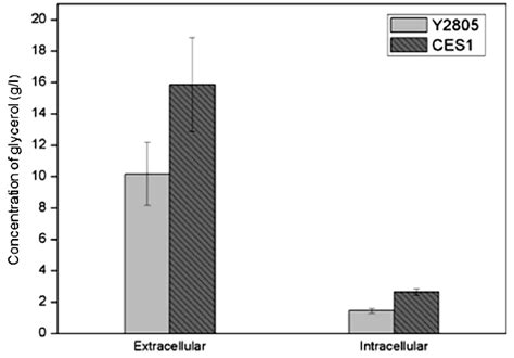 Glycerol productions of Y2805 (light gray) and CES1 (grey) strains ...