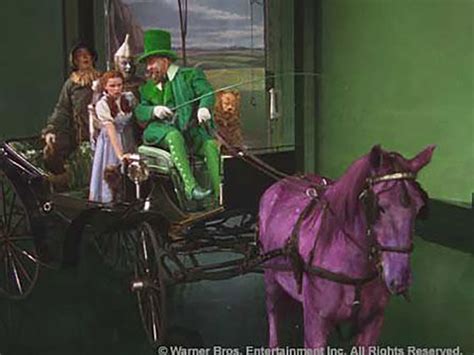 Horse of a Different Color - Stable Express