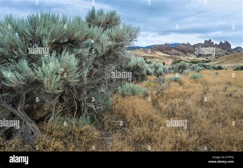 The rugged undulating landscape showing scrub land, rocks, mountains in ...