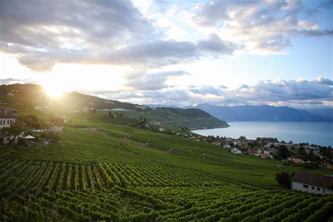 Swiss Snaps: Capturing the Cultural Mosaic of Switzerland