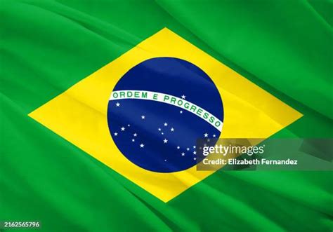 11,254 Brazilian Flag Stock Photos, High-Res Pictures, and Images ...