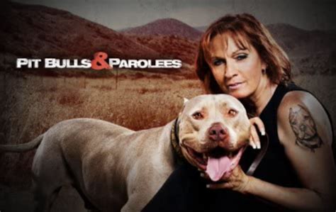 Pit Bulls & Parolees – The Ashley's Reality Roundup