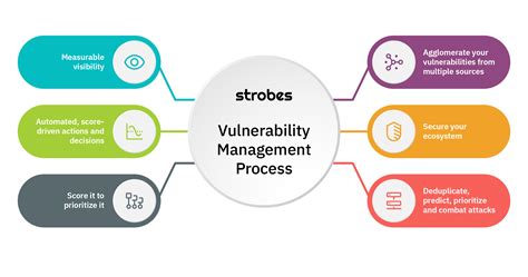 Vulnerability Management Explained - Security Boulevard