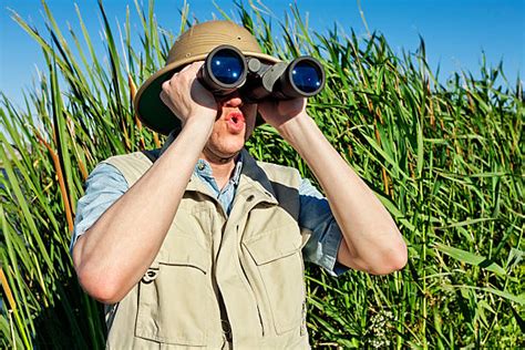 16,700+ Safari Hunter Stock Photos, Pictures & Royalty-Free Images - iStock