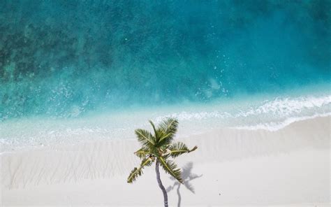 Voyage de Pirate : Bons plans, Avantages, Séjour et Hôtel