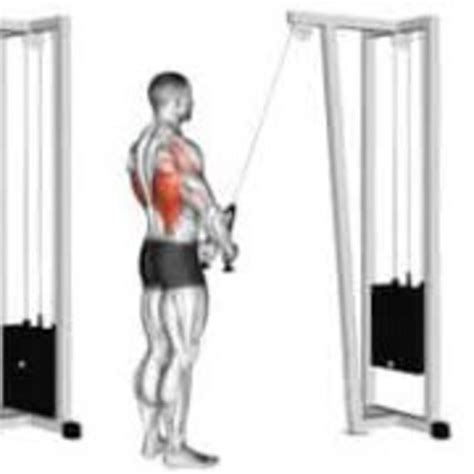 Cable Straight Arm Rope Pulldown by Elizabeth Helmick - Exercise How-to ...