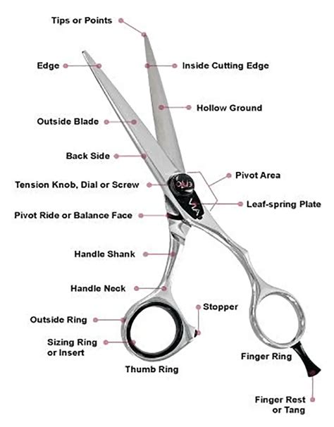 Terminology of Scissors | boldbarber.com