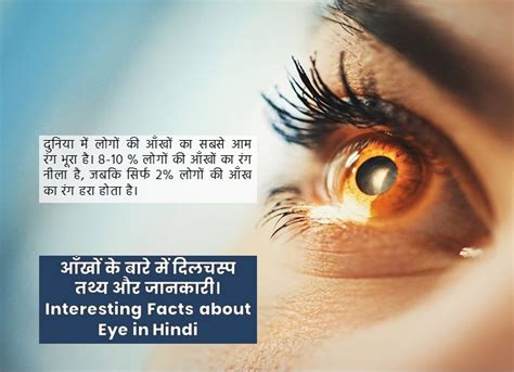 Living Facts Hindi: Eyes: आँखों के बारे में दिलचस्प तथ्य और जानकारी ...