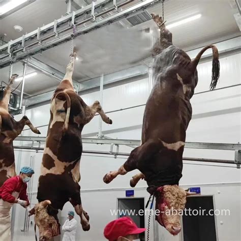 Living Cattle Stunning Platform Slaughtering Machine for Slaughterhouse ...