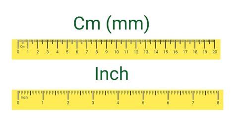 Inch measurement to scale online