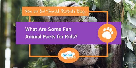 What are Some Fun Animal Facts for Kids? - Twinkl