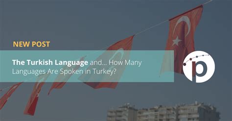 The Turkish Language and… How Many Languages Are Spoken in Turkey?