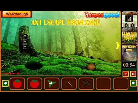 Ant Escape From Cage walkthrough GamesNovel. - YouTube