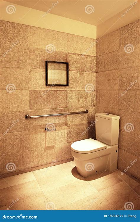 Luxury toilet stock photo. Image of clean, color, home - 19794572