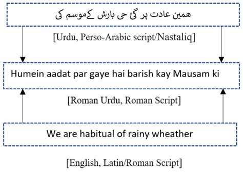 Script and Morphological variability in Roman Urdu, Urdu, and English ...