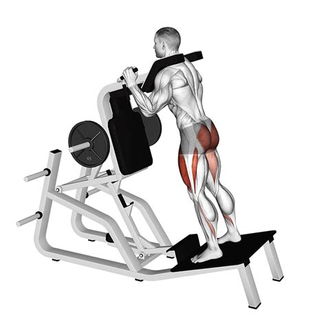 Hack Squat Foot Placement: How to Target Different Muscles - Inspire US