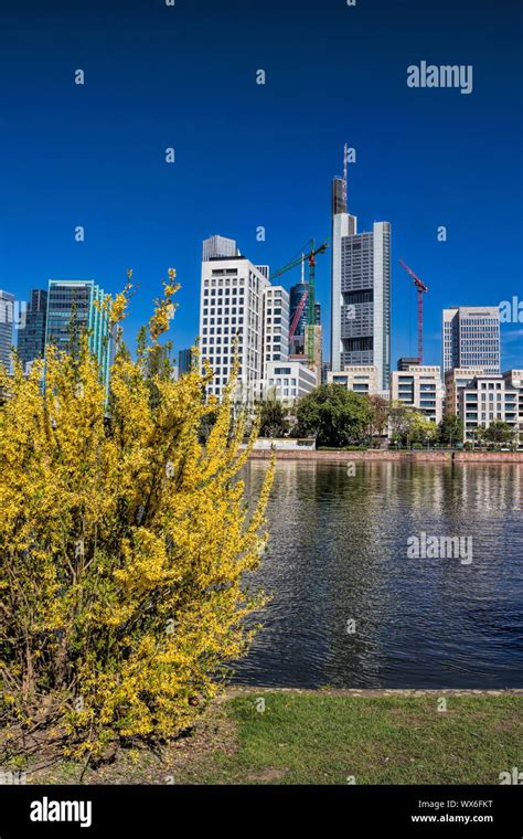 Frankfurt am Main Stock Photo - Alamy