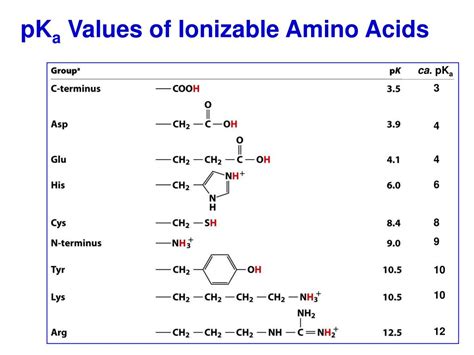 Pka Of Amino Acids Chart at Sherri Pineiro blog