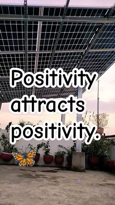 Positivity attracts positivity. 🦋 #song #evening #song - YouTube