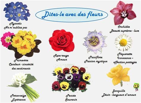 langage des fleurs