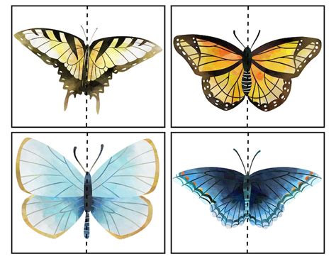 Butterfly Match Preschool Printable Preschool Game | Etsy